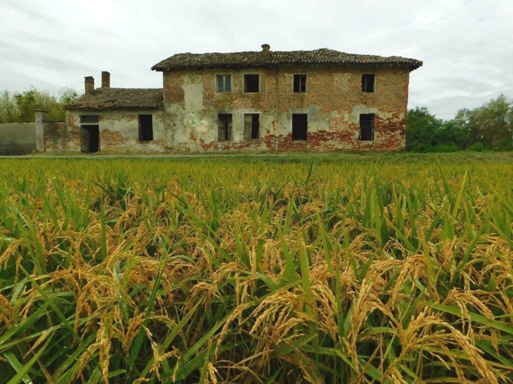 Cascina Guasta - Zerbolò (PV)