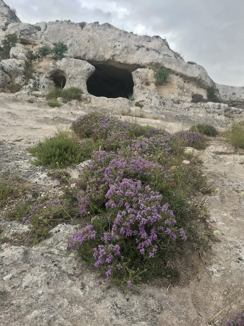 Matera, l'entrata di una grotta nel Parco della Murgia
