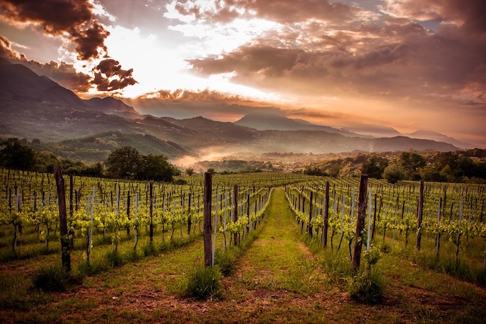 Irpinia, Campania, nelle vicinanze di Napoli, enogastronomia, alla scoperta dei tesori nascosti dell'Italia