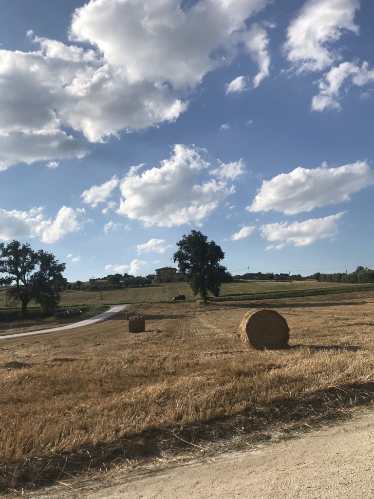 A typical landscape of the Marche