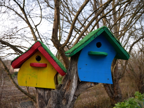 Casette colorate per uccellini- La Campagna dentro le Mura, la zona più verde dentro le mura di Ferrara