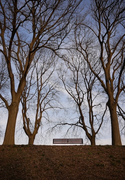 Una panchina sotto gli alberi delle Mura, un luogo imperdibile a Ferrara