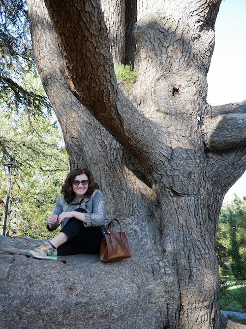 Chiara seduta su un cedro del libano secolare 