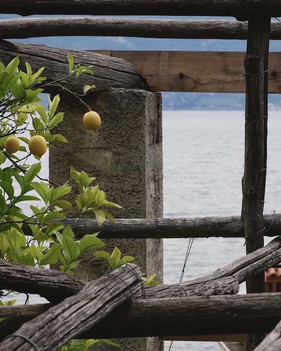 Paesaggio dai terrazzamenti della limonaia "La Malora" di Gargnano