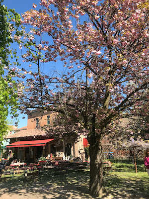 Il giardino di Palazzo Schifanoia un’oasi rinascimentale nel cuore della città. Un luogo magico per godersi un caffè o un pranzo