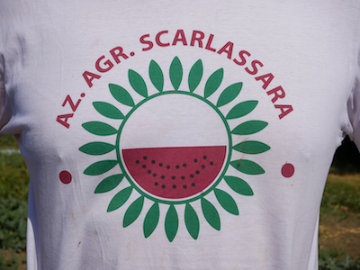 Il logo dell'azienda Agricola Scarlassara, uno dei 14 produttori di Anguria Reggiana IGP